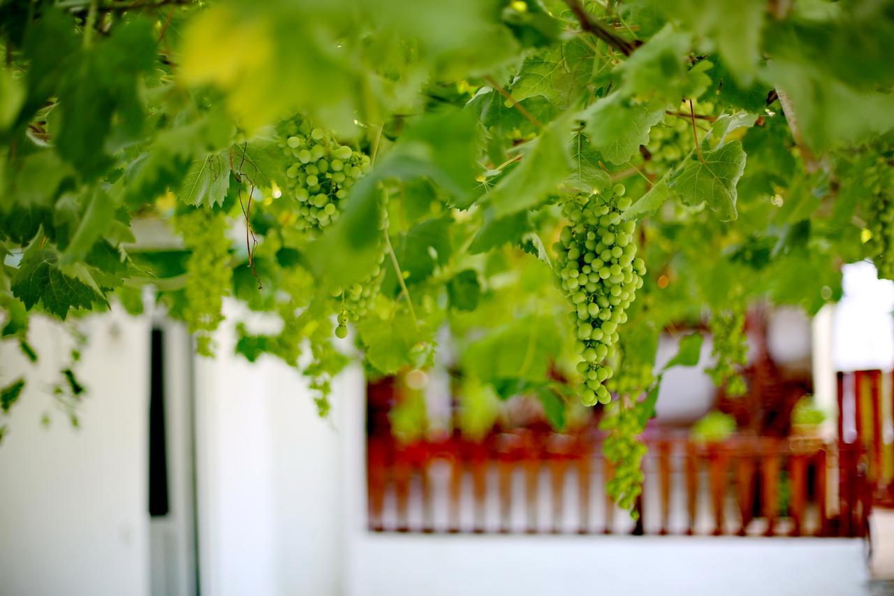 Sulo Pension พาทารา ภายนอก รูปภาพ
