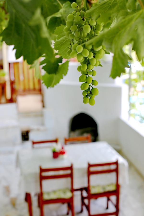 Sulo Pension พาทารา ภายนอก รูปภาพ